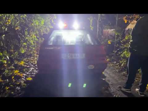 Видео: КУПИЛИ КОЛЬТ КОТОРЫЙ ПРОСТОЯЛ 10 ЛЕТ НА ДАЧЕ