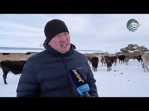 Видео: ҰЛТТЫҚ СПОРТТЫ ДАМЫТСАМ ДЕГЕН ШАРУА ҚОЖАЛЫҒЫ / ЕЛ мен ЖЕР / 22.12.2023