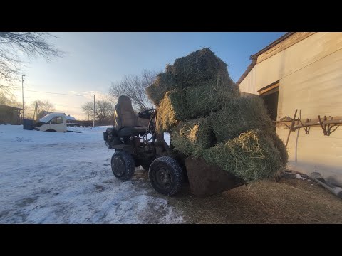 Видео: чистим навоз, возим сено, минипогрузчик МАЛЮТКА незаменимый помощник на все руки