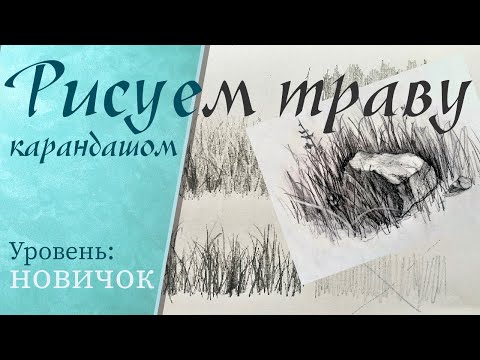 Видео: Как нарисовать траву новичку. How to draw grass for a beginner