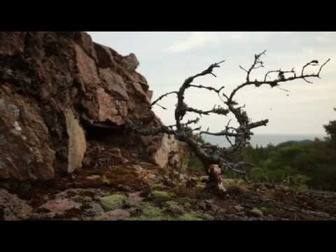 Видео: Тайны острова Гогланд