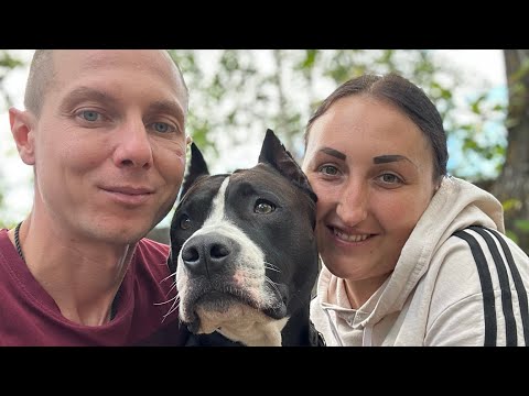 Видео: Кинологический лагерь Всплеск Эмоций лето 2023. Нижегородская область