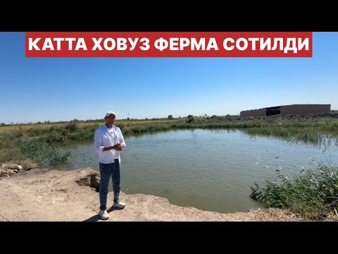 Видео: УРГАНЧ ТУМАНДА ХОВУЗ ФЕРМА СОТИЛДИ. FERMA ARZON SOTILADI