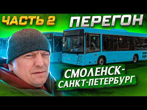 Видео: Перегон Автобуса Часть 2 Смоленск-Санкт-Петербург