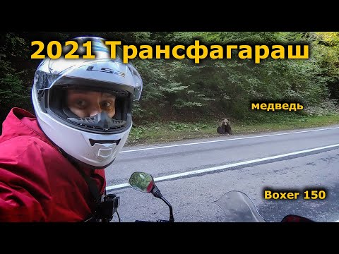 Видео: Трансфагараш на мотоцикле BAJAJ BOXER 2021 безвиз и сертификат о вакцинации