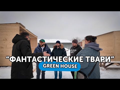 Видео: Фантастические ТВАРИ и где они обитают