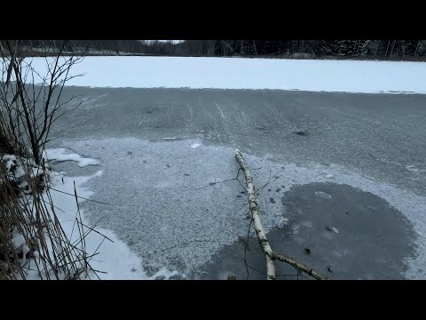Видео: По тонкому льду. Рыбалка в Латгалии.