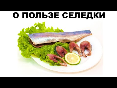 Видео: О ПОЛЬЗЕ СЕЛЕДКИ