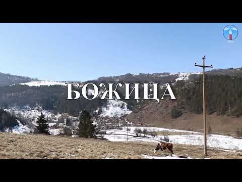 Видео: БОЖИЦА