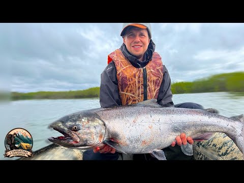 Видео: Чавыча. Трофейная рыбалка на Камчатке,р. Большая.#kamchatka #kingsalmon #трофейнаярыбалка