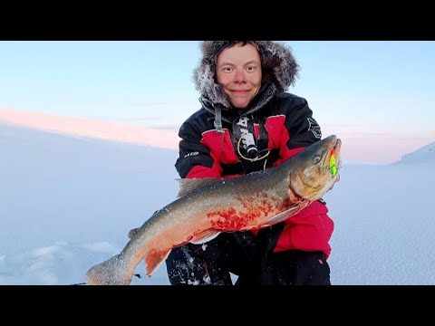 Видео: ЭКСПЕДИЦИЯ НА СВЯЩЕННЫЙ ОСТРОВ БЕЛЫХ МЕДВЕДЕЙ!!! ИДОЛЫ!! ГУЛАГ!!! И РЫБАЛКА НА АРКТИЧЕСКОГО ГОЛЬЦА!!