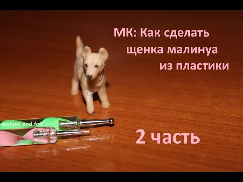 Видео: МК: Как сделать щенка малинуа из полимерной глины/пластики 2 ЧАСТЬ
