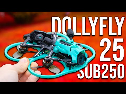 Видео: Мощный 2,5-дюймовый FPV-дрон Cinewhoop! Sub250 Dollyfly 25