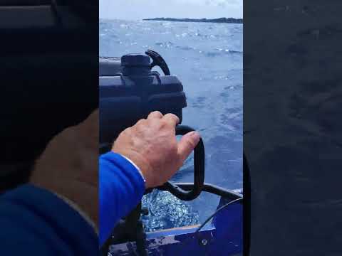 Видео: китайский лодочный мотор в океане.Гибрид ПЛМ и газонокосилки