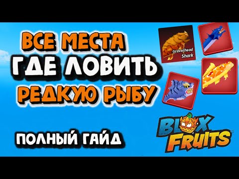Видео: Все места Где ловить редкую рыбу Полный гайд Блокс Фрукт