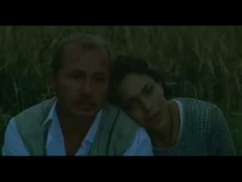 Видео: ХФ ТРИО финал