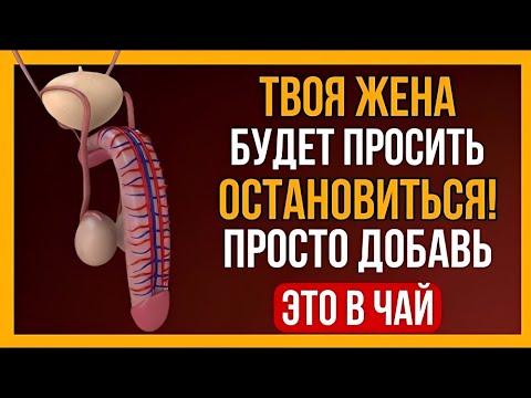 Видео: Положил Всего Одну Ложку В Утренний Чай — И Жена Умоляет Прекратить | Мужская Сила И Секрет Энергии
