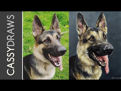 Видео: Рисуем немецкую овчарку акриловыми красками