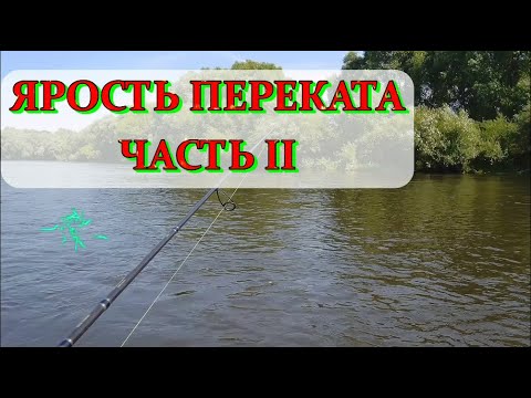 Видео: Голавль - ярость переката(часть 2)