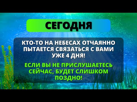 Видео: 😢 КТО-ТО В НЕБЕ ОТЧАЯННО ПЫТАЕТСЯ ПОГОВОРИТЬ С ТОБОЙ! Не игнорируйте его, это СРОЧНО!