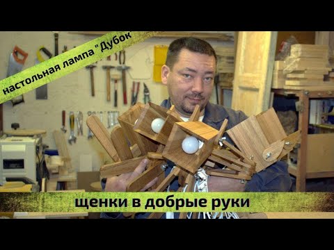 Видео: настольная лампа собака по кличке "дубок"
