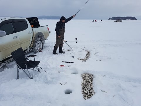 Видео: Де-Кастри в марте (съёмки с дрона)