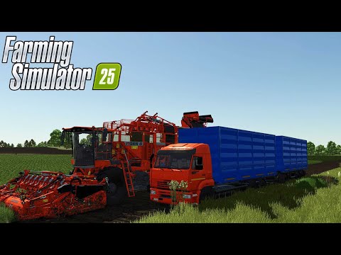 Видео: FS 25. КОЛХОЗ  ЖУРАВЛЁВО. УБОРКА МОРКОВКИ. ПОКУПКА ТЕПЛИЦ