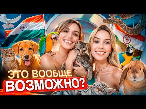 Видео: Вывезла из ИНДИИ животное! ИНСТРУКЦИЯ | Подводные камни