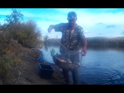 Видео: За щукой в пойму с супругой на ранней зорьке.