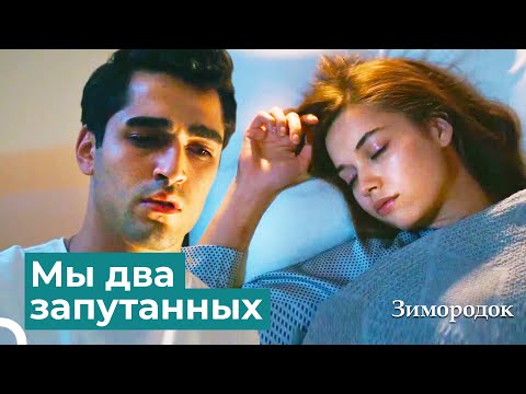 Видео: Милость проявленная к любимой выглядит наверное так | Зимородок 5 Cерия