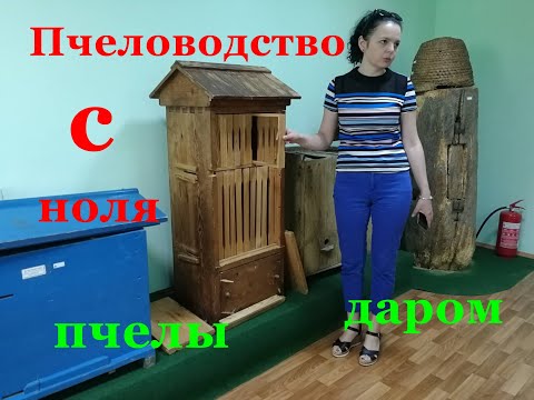 Видео: Пчеловодство с нуля,без покупки пчел