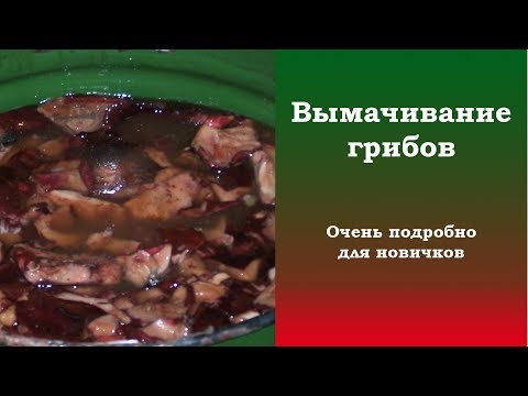 Видео: Вымачивание грибов. Очень подробно для новичков.