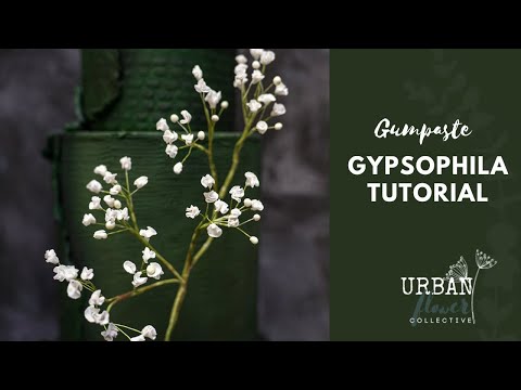 Видео: Как сделать веточку гипсофилы из мастики / цветочной массы / сахара — пошаговое руководство