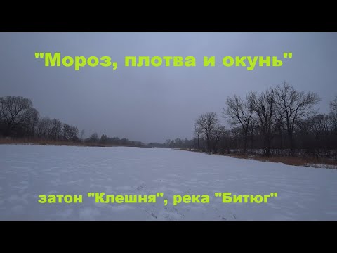 Видео: "Мороз, плотва и окунь", затон "Клешня", река "Битюг". (Нашел стаи карася).