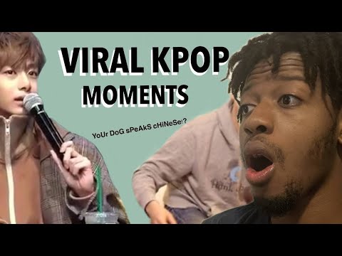 Видео: Реакция фаната, не являющегося поклонником K-pop, на вирусные моменты в K-pop
