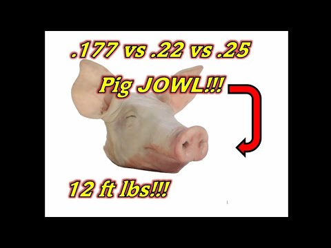 Видео: Тест пневматических пуль .177 против .22 против .25cal (12FPE)!!!