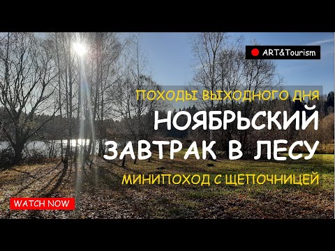 Видео: Минипоход с щепочницей 5 11 2025