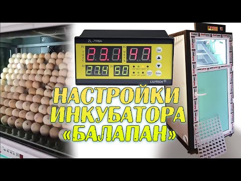 Видео: Что делать? Пришел инкубатор "БАЛАПАН"-1 серия