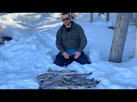 Видео: ЗИМНЯЯ РЫБАЛКА В СОЛНЕЧНОЙ КАРЕЛИИ | ТАКОЕ БЫВАЕТ РАЗ В ЖИЗНИ | ТРОФЕЙНЫЙ ХАРИУС И ФОРЕЛЬ НА ДЖИГ