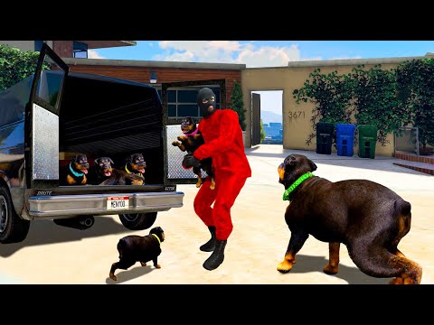 Видео: ЧОПТЫҢ КҮШІКТЕРІН КІМ ҰРЛАП КЕТТІ? (GTA V)