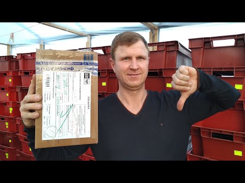 Видео: АТ251 Обманули Ткаченко