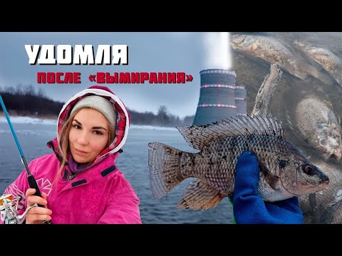 Видео: РЫБАЛКА С ПОДРУГОЙ В УДОМЛЕ ПОСЛЕ ЗАМОРА ТИЛЯПИИ 🐟👻