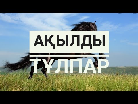 Видео: МАРҚАБЫЛДЫҢ ҚАРА ҚАСҚА АТЫ. (Аңыз әңгіме)