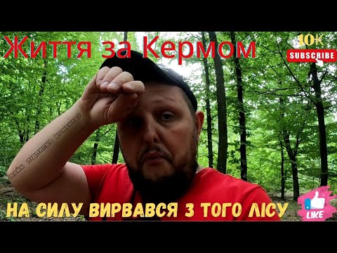 Видео: Я це зробив! На силу вирвався з того лісу! Прямо полювання вийшло якесь.