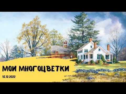 Видео: Вышивка крестом и гобеленом за 2,5 месяца // Сложные многоцветки