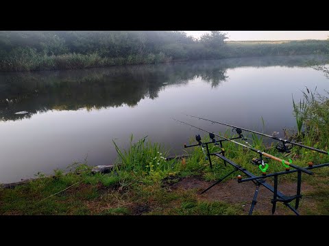 Видео: КРУТОЙ ЛОГ, КАРПОВАЯ РЫБАЛКА, "ПАРОВОЗЫ" И Я.. (Воронежская область 2021)