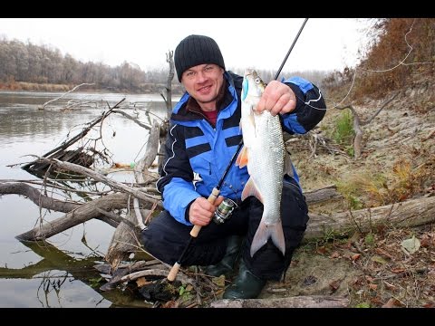 Видео: Рыбалка на реке Десна. Осенние зарисовки сезона 2015