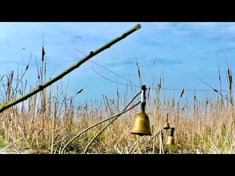 Видео: ПОНЕСЛАСЬ!!! Первые ТРОФЕИ весны! Ловля на жмых.