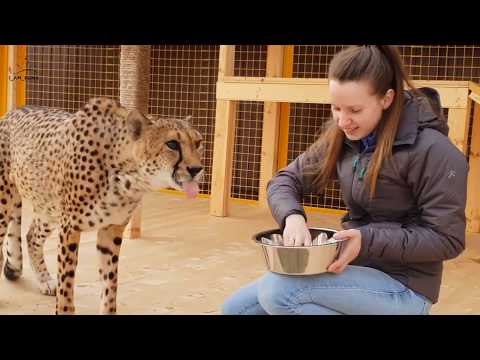 Видео: Ичель поела с рук у Маши!