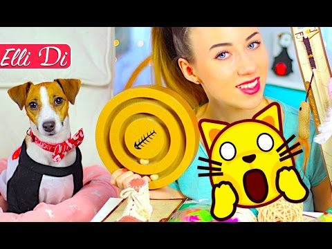 Видео: РЕАКЦИЯ СОБАКИ НА ИГРУШКИ ДЛЯ КОШЕК ОБЗОР | HAUL ПОКУПКИ ИЗ ЗООМАГАЗИНА | Elli Di Pets